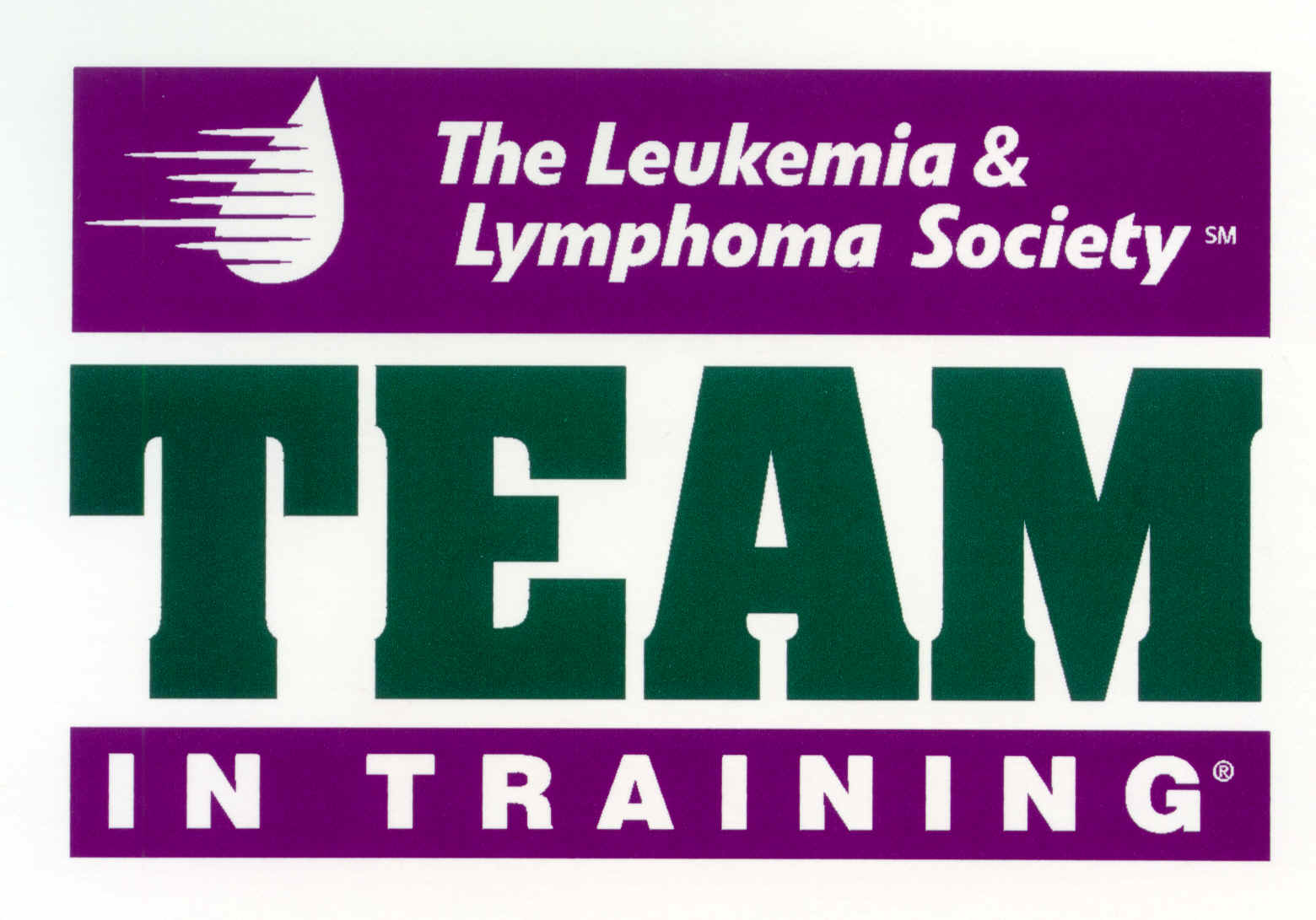 teamtraininglogo